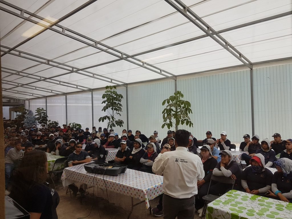 Galería – COCENA